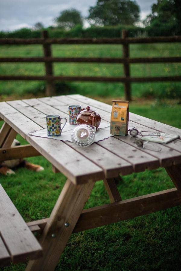 Location de vacances pour 6 personnes, avec terrasse et vue, adapté aux familles à Saint-Léonard-des-Bois - 4