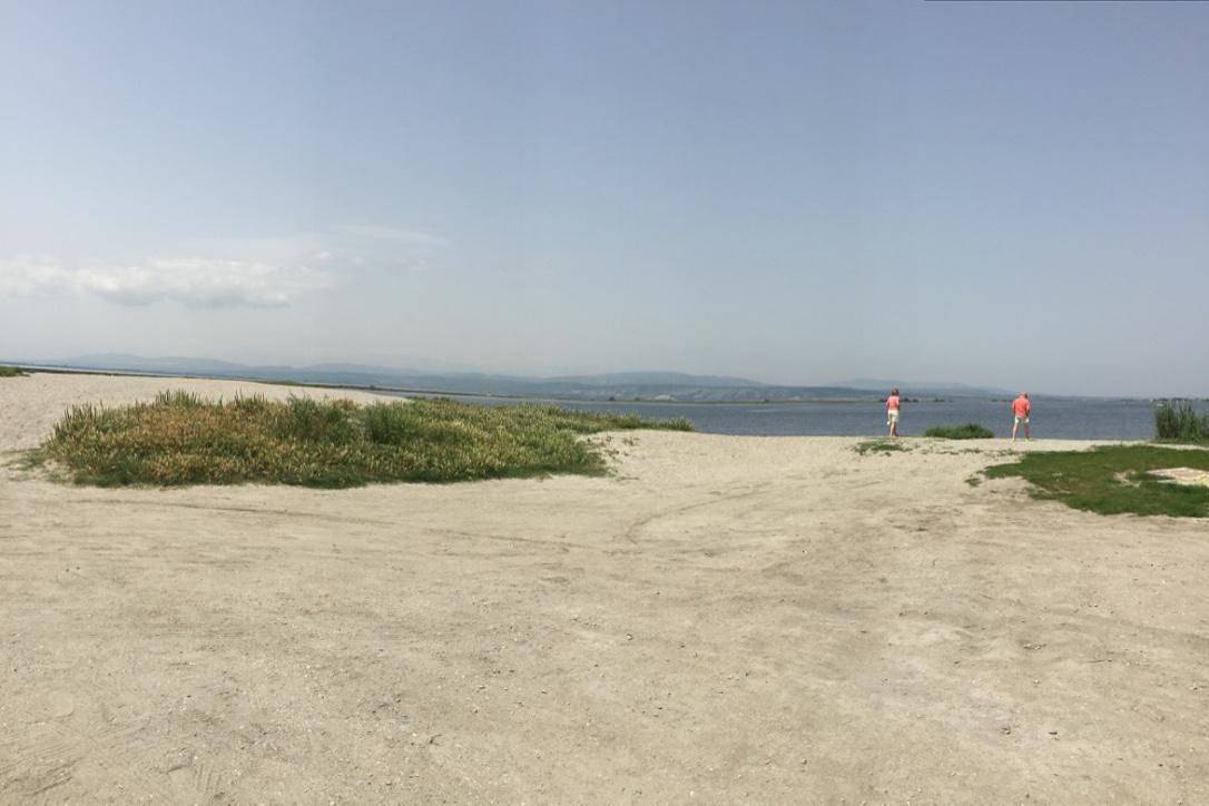 Gîte ô bout de l'île in Le Barcarès, Côte d'Améthyste