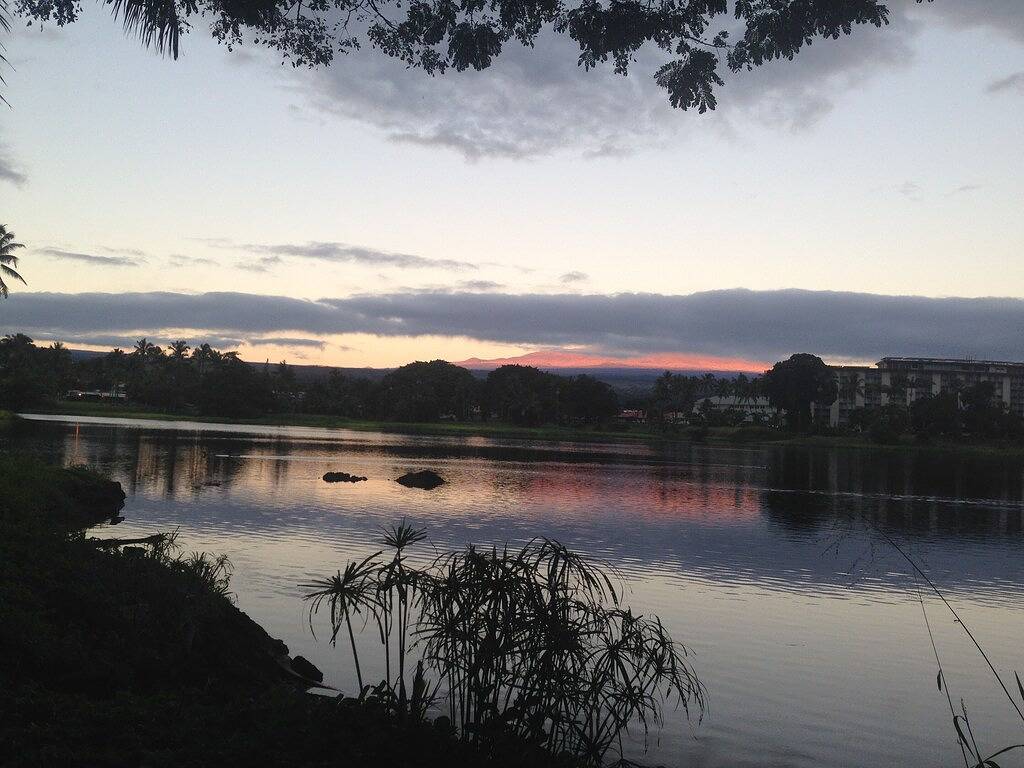 Das Ohana Cottage liegt perfekt in der Nähe aller Annehmlichkeiten und doch in einer ruhigen Gegend in Hilo, South Hilo