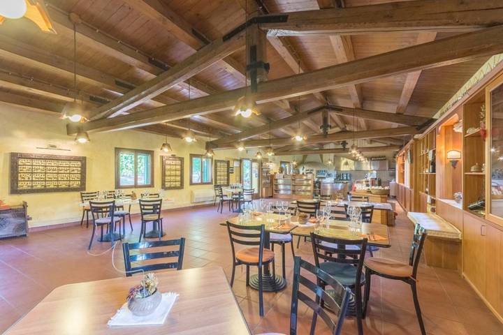 Location de vacances pour 3 personnes, avec terrasse ainsi que jardin et vue, animaux acceptés à Cinto Euganeo - 4