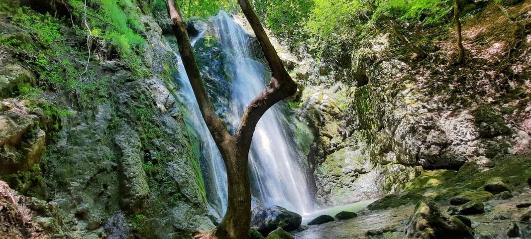 Location de vacances pour 5 personnes, avec vue ainsi que jardin et piscine, animaux acceptés à Chézery-Forens - 4