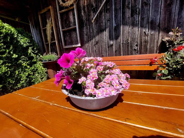Ferienwohnung für 2 Personen, mit Garten, kinderfreundlich in Waging am See - 4