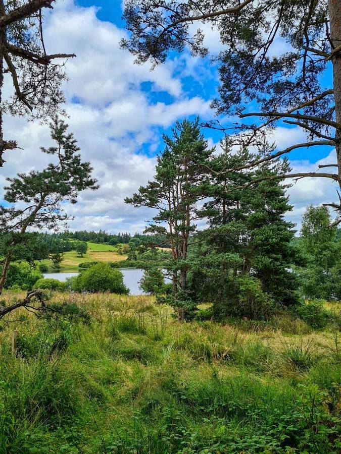 Location de vacances pour 4 personnes, avec vue et jardin à Sembadel - 3