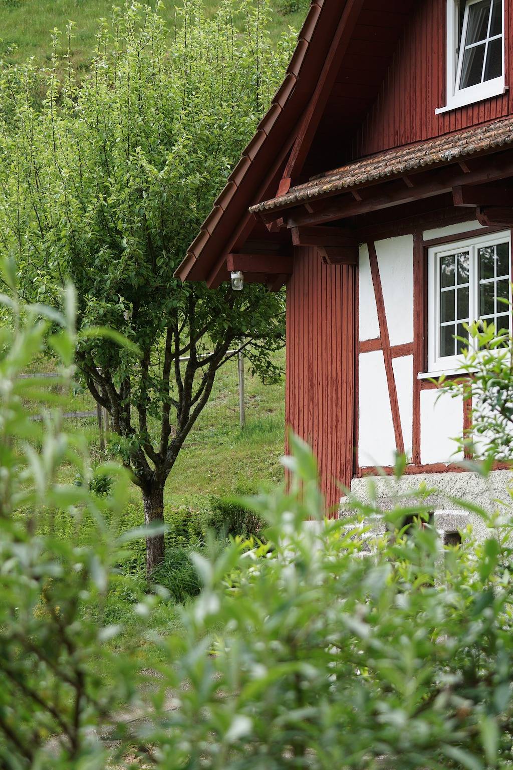 Ganze Wohnung, Haus Wiesenruhe Ferienwohnung 1 in Seebach (Ortenaukreis), Mittlerer Schwarzwald