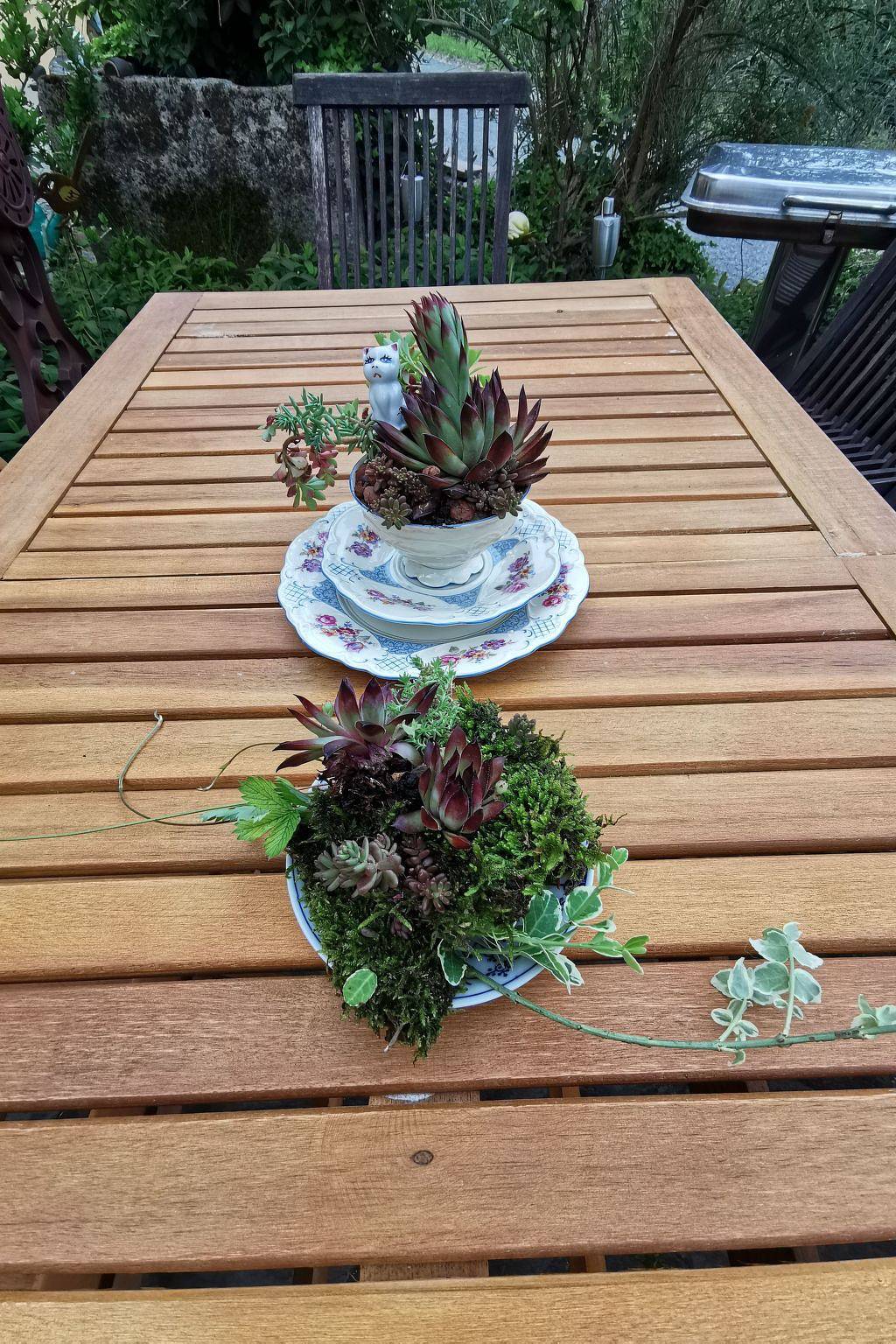 Ganze Wohnung, Wohnung in Bad Gottleuba in Bad Gottleuba-Berggießhübel, Elbsandsteingebirge