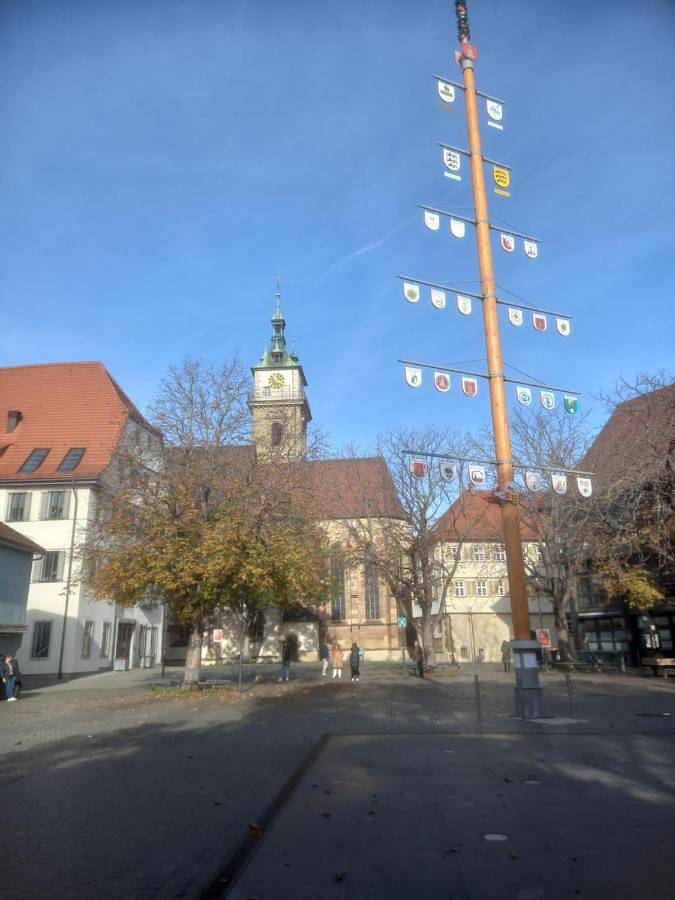 Hotel Krone Bad Cannstatt in Bad Cannstatt, Stuttgart