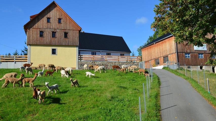 Ferienhaus für 9 Personen, mit Sauna und Terrasse in Frauenstein
