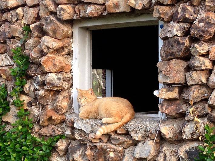 Cabin for 6 people, with yard and balcony in Missouri