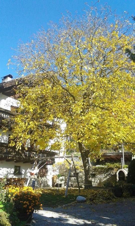 Geheel appartement, Huberhof in Elvas (Brixen), Brixen