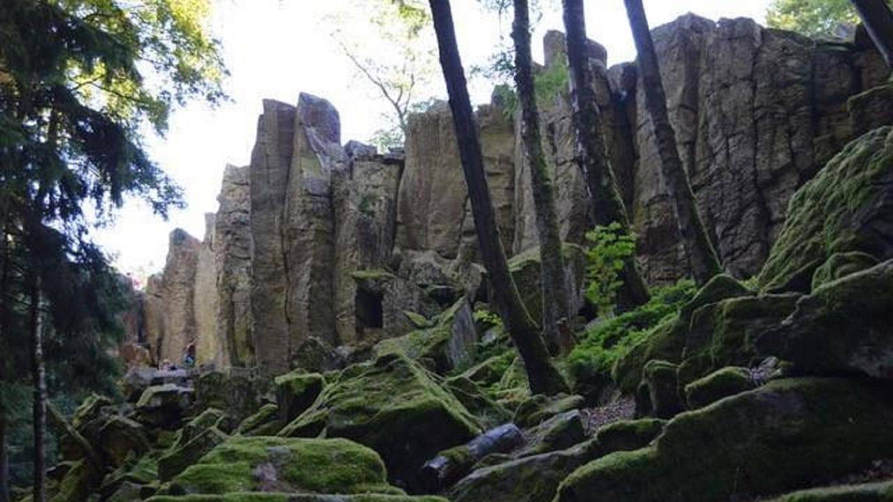 Ganze Ferienwohnung, Ferienwohnung für 2 Personen (40 m²) in Ehrenberg (Hessen) in Ehrenberg, Rhön-Hessen