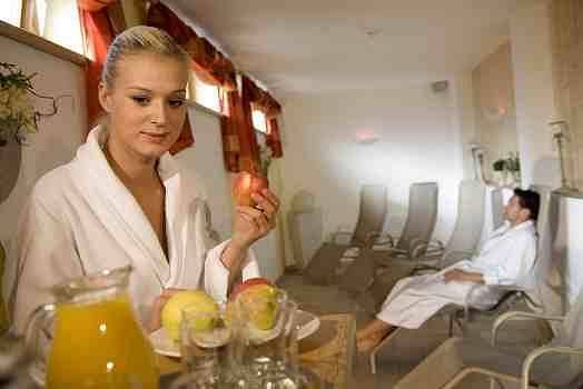 Hotel für 2 Personen, mit Balkon und Terrasse sowie Garten und Sauna in Vorderlanersbach - 4