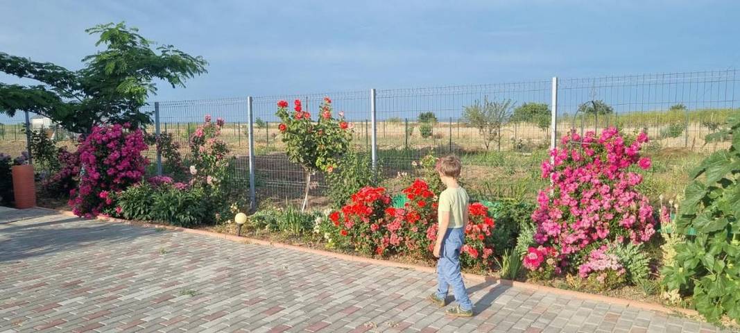 Villa pour 8 personnes, avec Balcon et Terrasse ainsi que Jardin et Vue sur le lac en Roumanie - 2