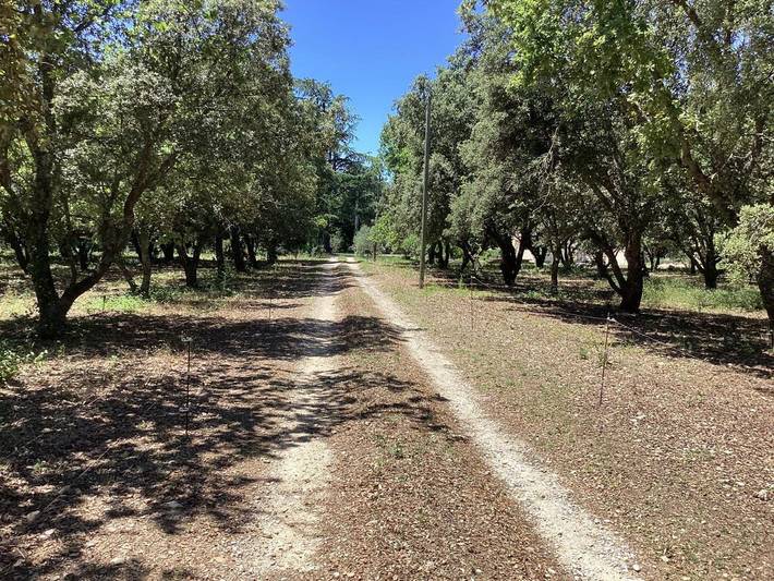 Location de vacances pour 6 personnes, avec jacuzzi et jardin, adapté aux familles à La Baume-de-Transit - 4