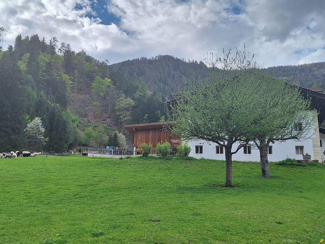 Ganze Ferienwohnung, Familie Tagger/Burgfrieden - Appartment rustikal in Leisach, Osttirol
