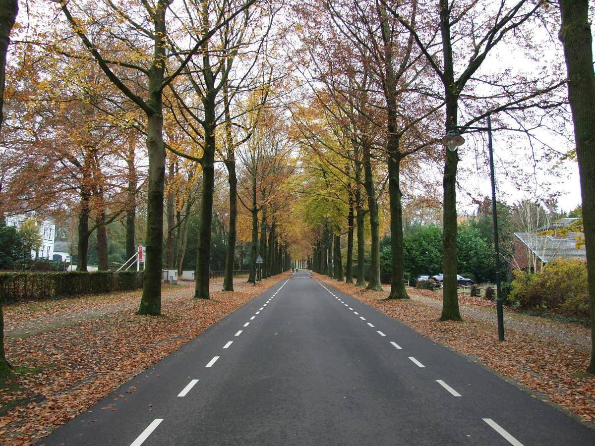 Double Room with Private Bathroom in Veluwe