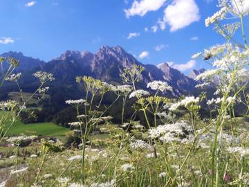 Appartement voor 9 Personen in Leogang, Kitzbüheler Alpen, Afbeelding 2