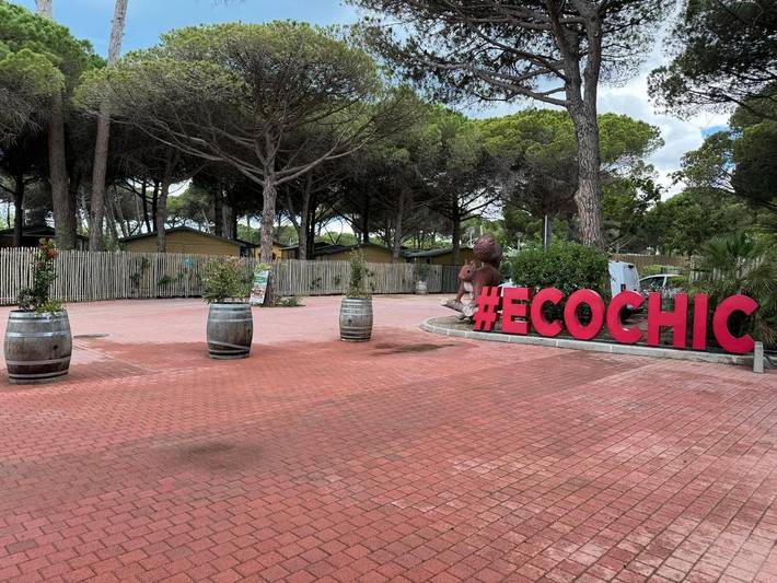 Location de vacances pour 4 personnes, avec jardin et piscine, animaux acceptés dans la Tamarissière - 4