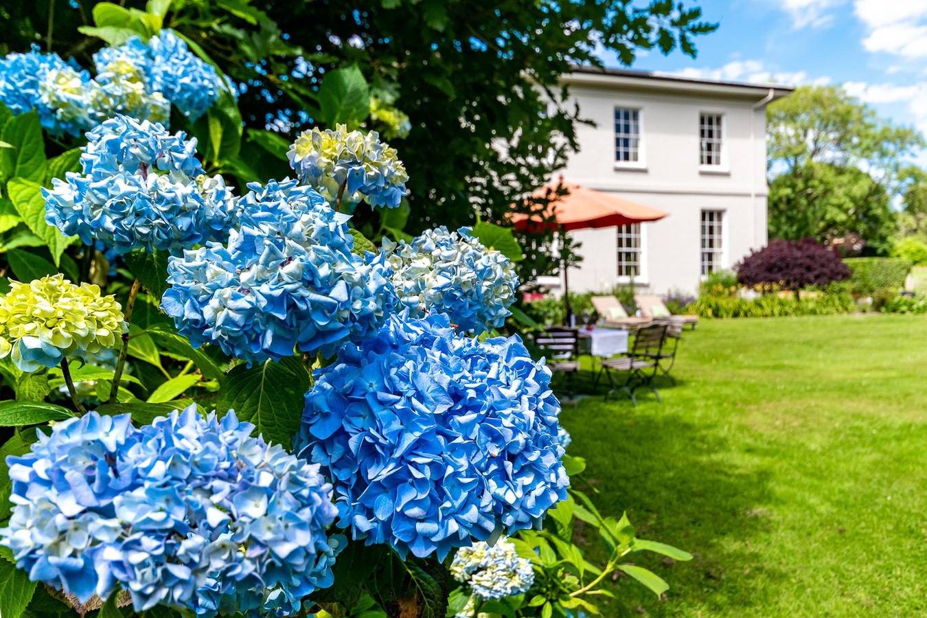 Ferienhaus für 12 Personen mit Terrasse in County Cork