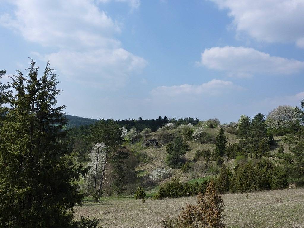 Ganze Ferienwohnung, Ferienwohnung Willner - Appartment in Kastl, Ostbayern