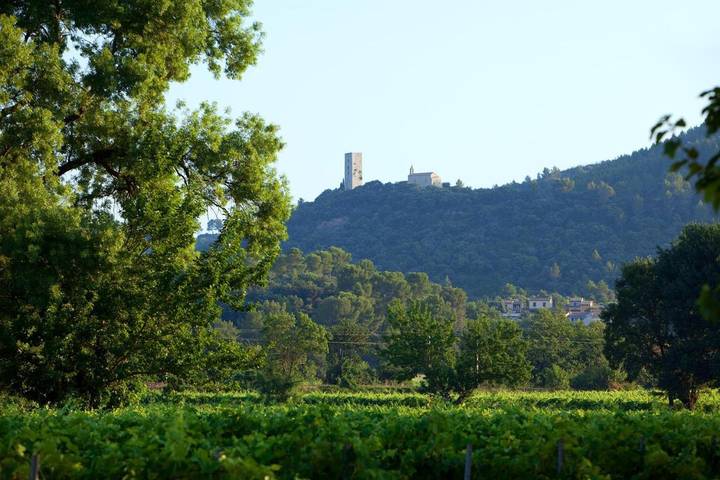 Location de vacances pour 2 personnes, avec Jardin ainsi que Piscine et Vue à Taradeau - 3