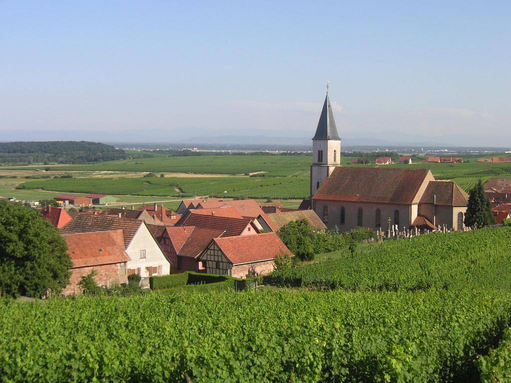 Chambres d'hôtes du Zellberg - Chambre n°1 in Nothalten, Région de Sélestat-Erstein