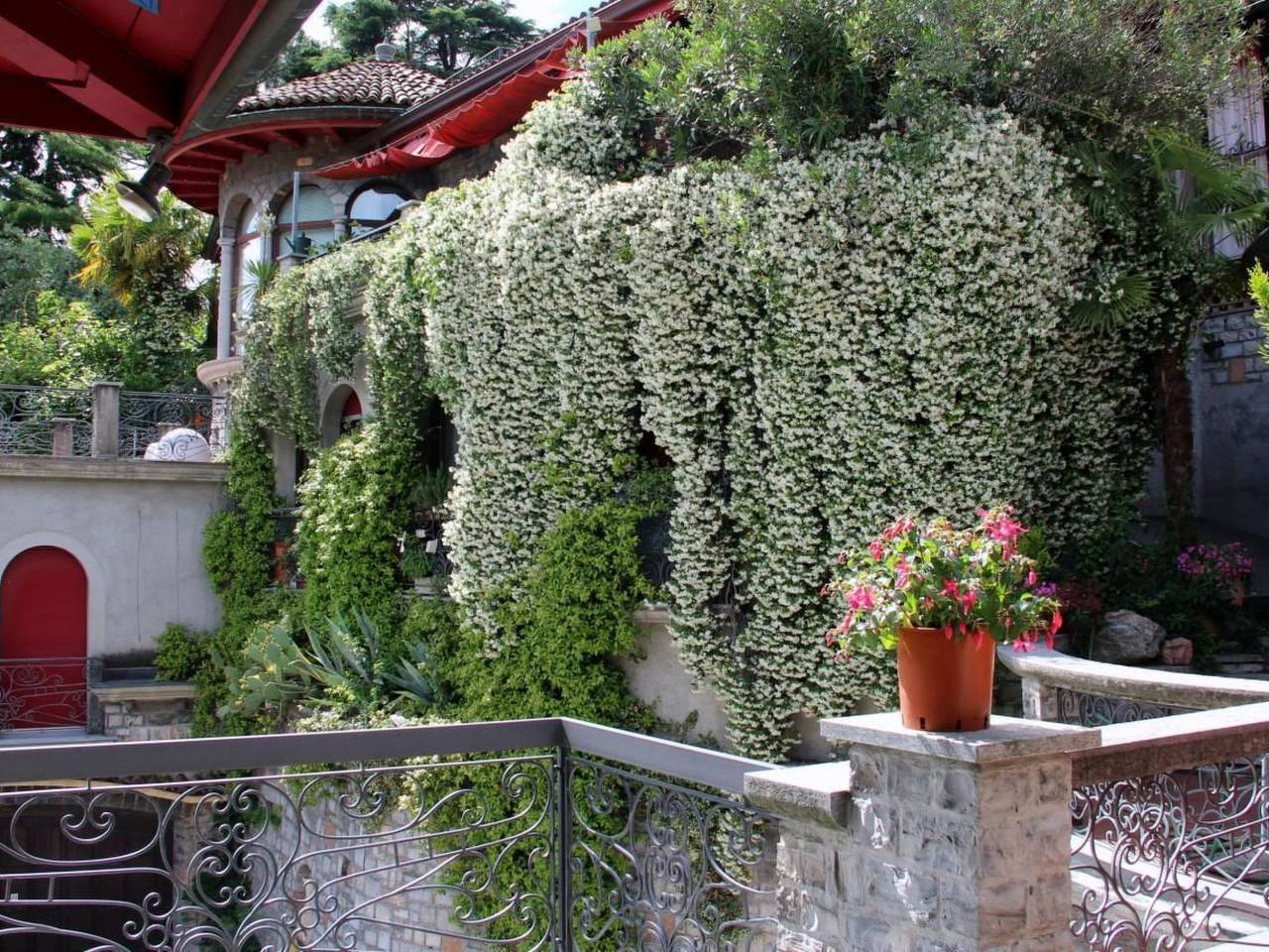 Ganze Wohnung, Agave in Lugano, Luganersee