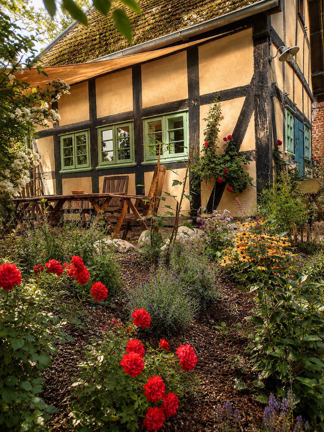 Idyllisches Ferienhaus Nähe Dümmer See | Auszeit | Sauna | Natur in Landkreis Diepholz