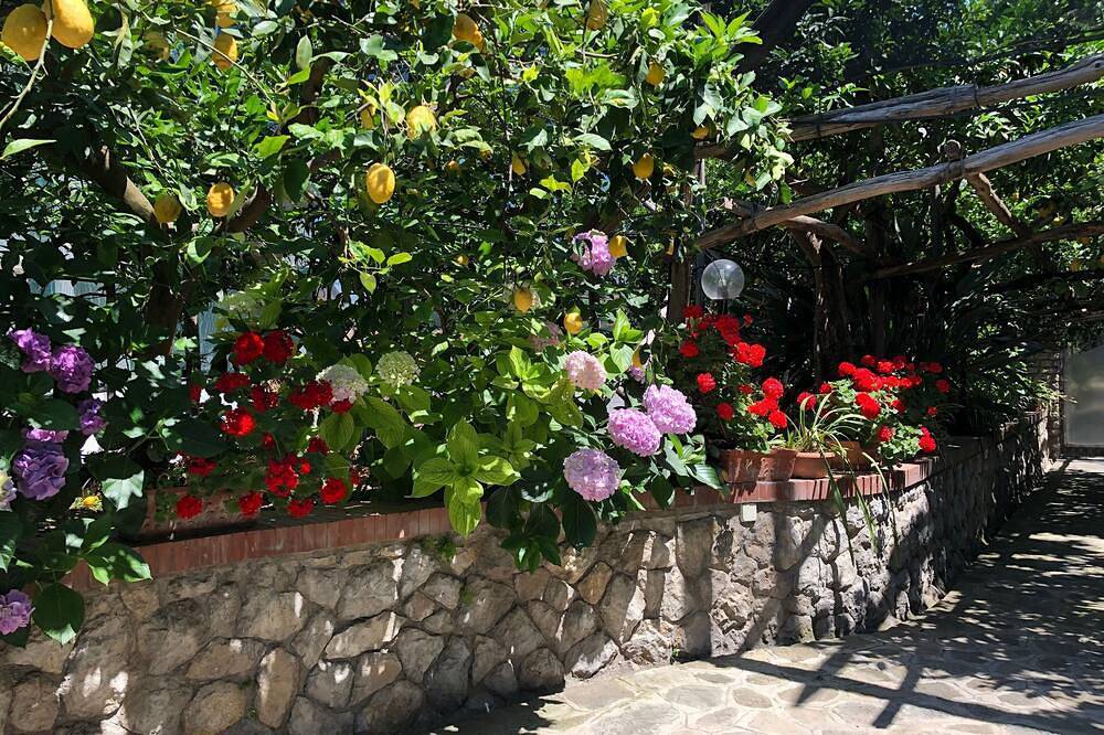 \"The Lookout Of Pipiano\" in Conca Verde - Sorrento, Massa Lubrense