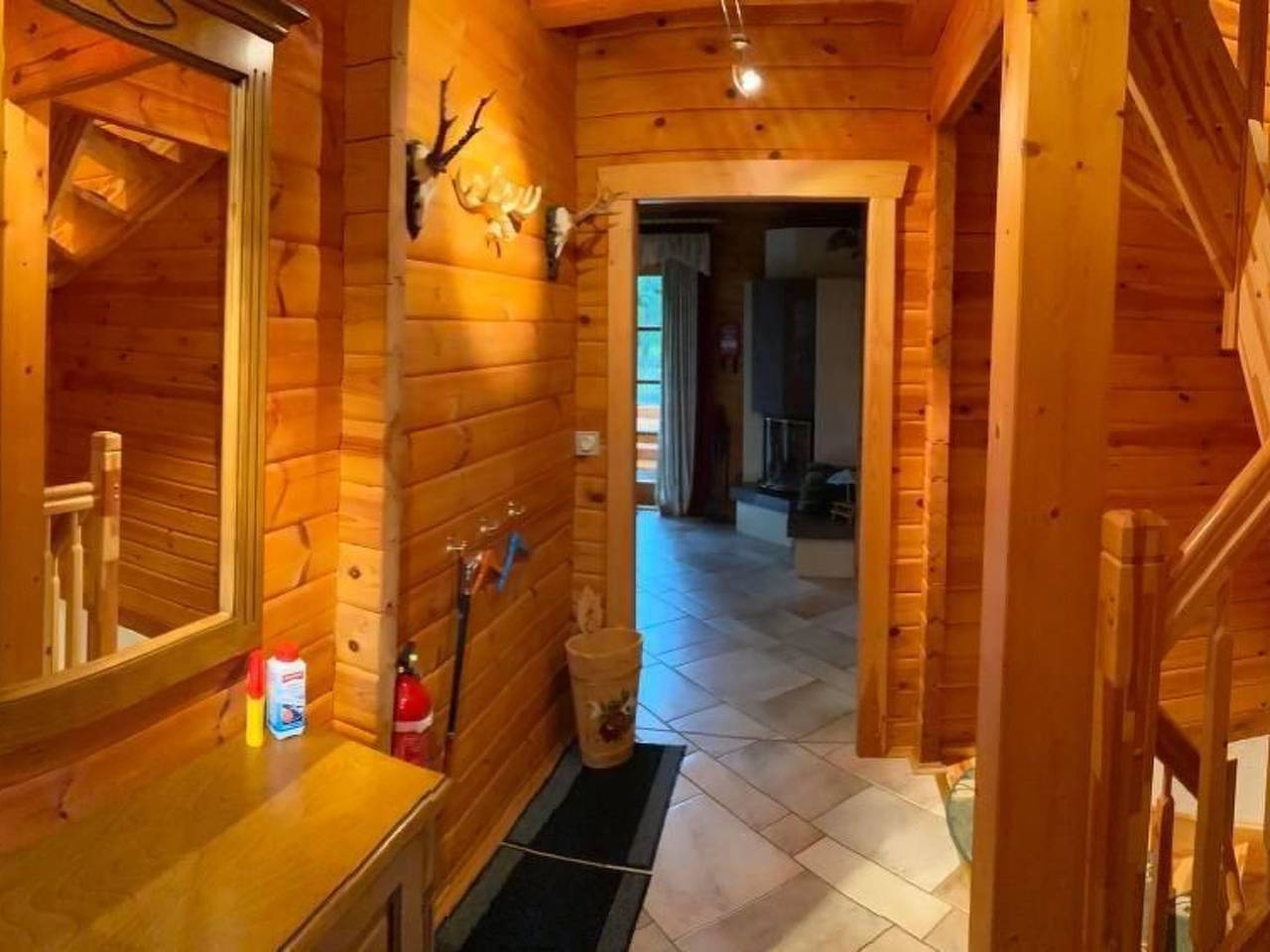 Waldhauseichhörnchen in Bad Schmiedeberg, Dübener Heide