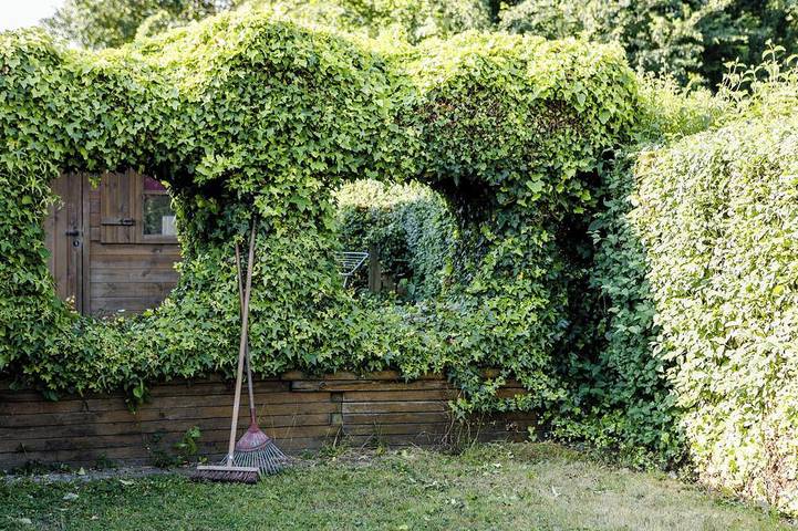 Vakantiehuis voor 4 personen, met tuin, met huisdier - 1
