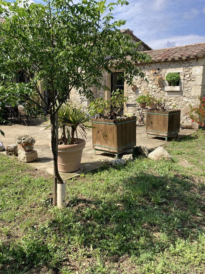 Gîte pour 2 personnes, avec jardin et terrasse, animaux acceptés au Parc naturel régional des Alpilles - 4