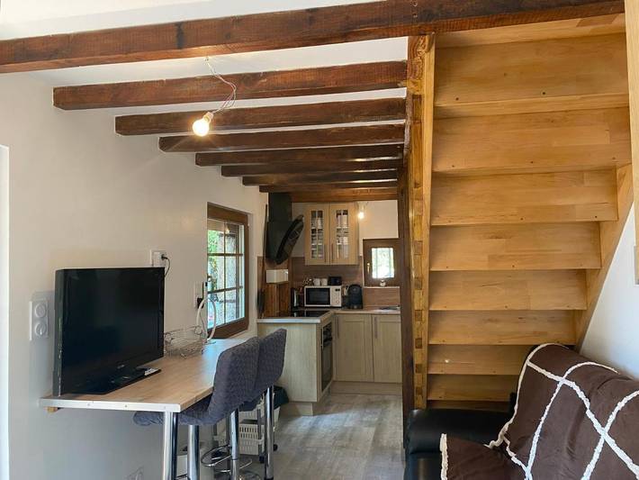Gîte pour 4 personnes, avec piscine ainsi que jacuzzi et sauna, animaux acceptés à Firminy - 4