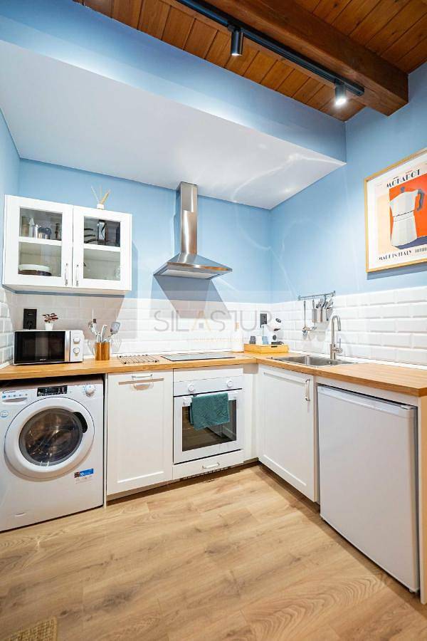 Location de vacances pour 3 personnes dans Pola de Siero - 4