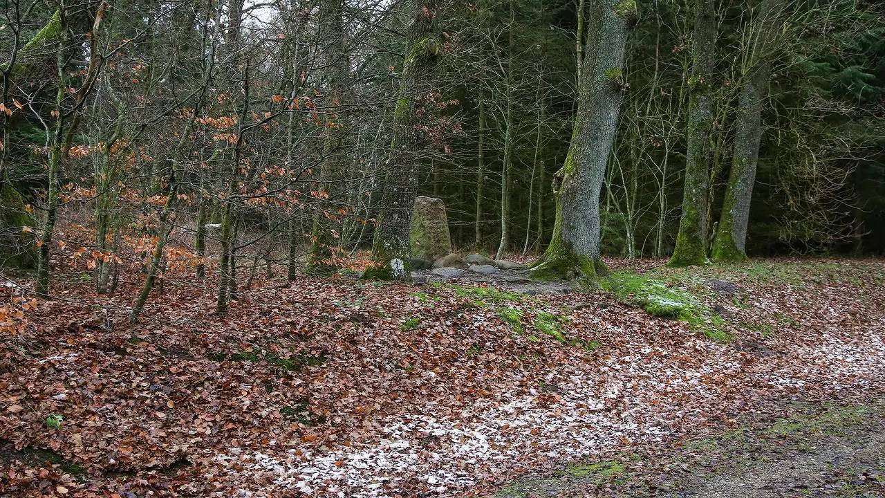 Ferienhaus für 6 Personen (55 m²) in Give in Vesterlund, Vejle und Umgebung
