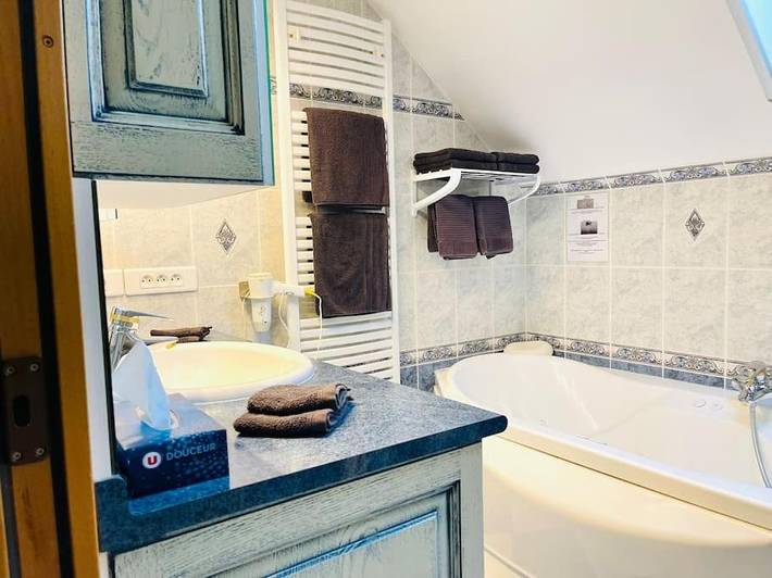 Location de vacances pour 8 personnes, avec jardin à Sully-sur-Loire - 4