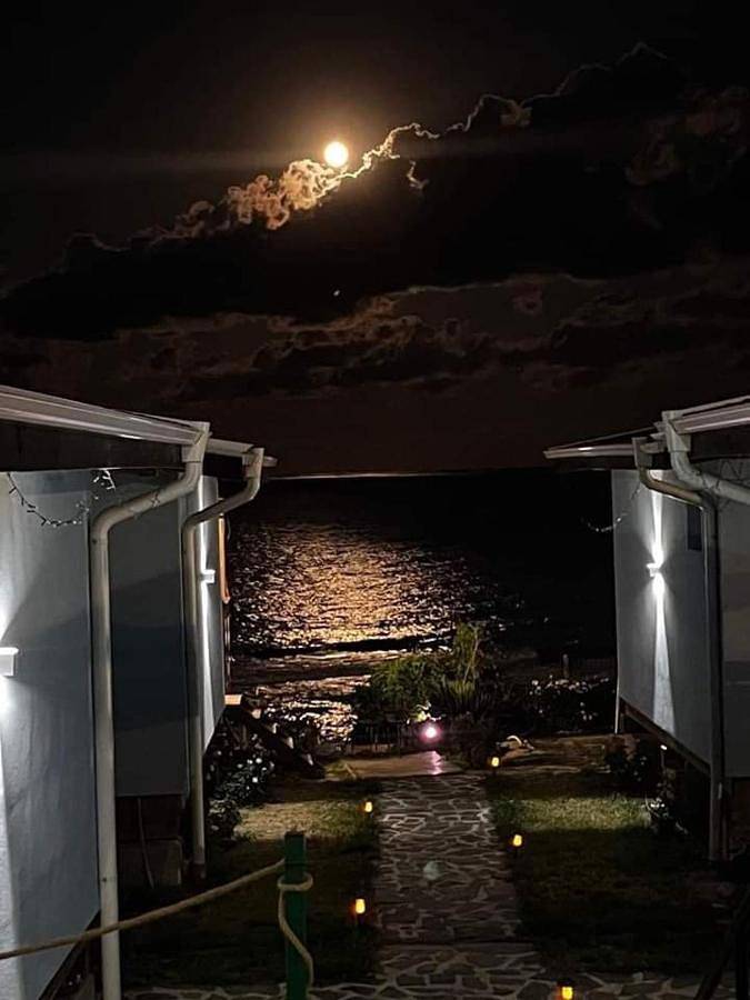 Villa for 4 people, with view and garden, with pets - 1
