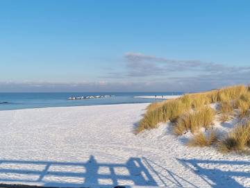 Ferienwohnung für 4 Personen in Althagen, Ahrenshoop, Bild 1