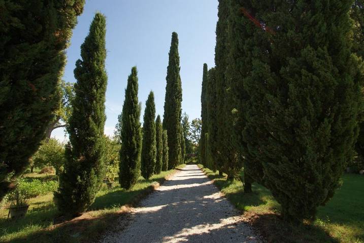 Appartamento per 7 persone, con Terrazza e Giardino nonché Piscina e Panorama a Vicenza