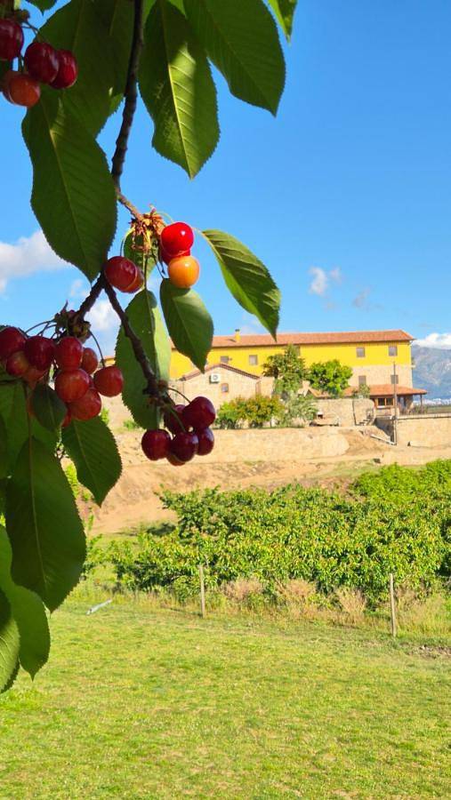 Quinta do Limite - Agroturismo in Peraboa, Distrito de Castelo Branco