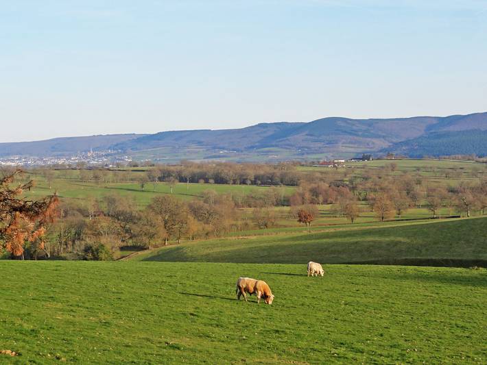 Location de vacances pour 6 personnes, avec terrasse et jardin à La Grande-Verrière - 3