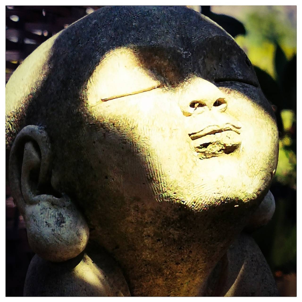 Cabane en bois pour 2 personnes avec jardin in San-Martino-di-Lota, Cap Corse