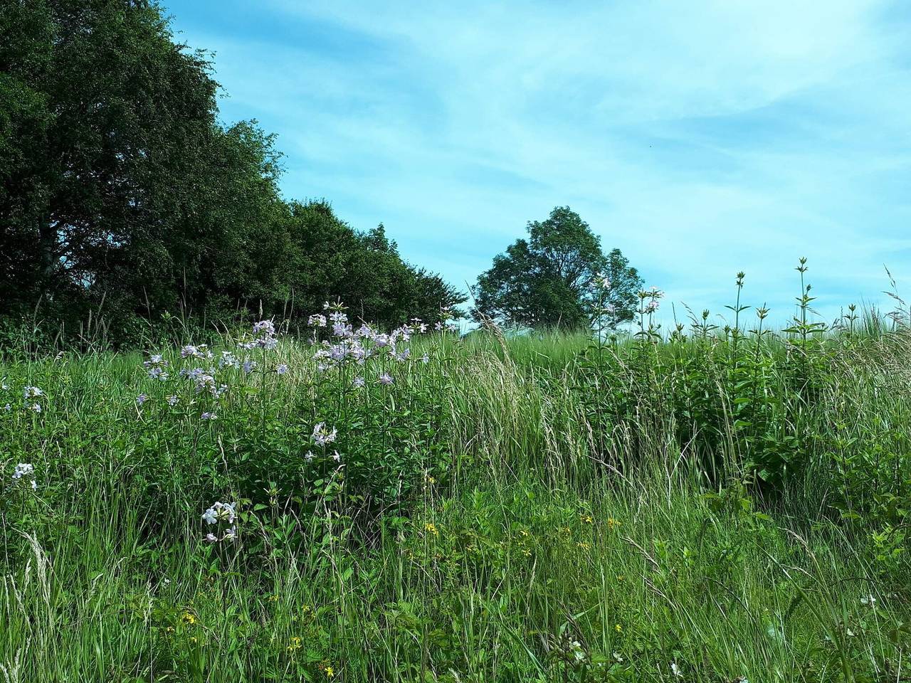 5 Personen Ferienhaus in Holeby in Holeby, Schwedische Ostsee