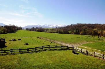 Cottage for 9 People in Asson, Pau region, Photo 4