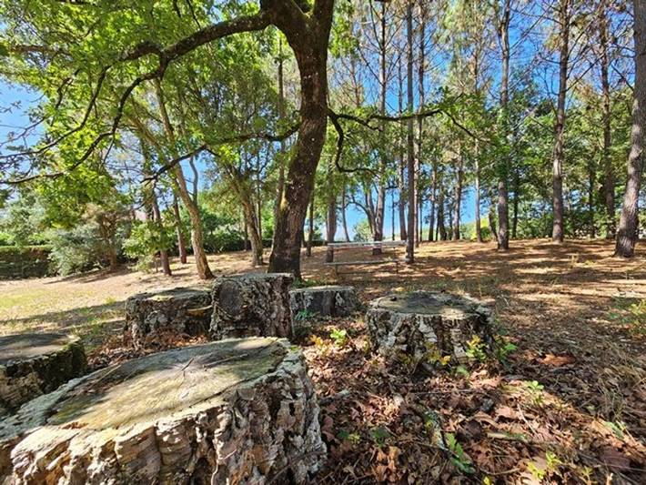 Location de vacances pour 6 personnes, avec jardin dans Réserve naturelle du Courant d'Huchet - 4