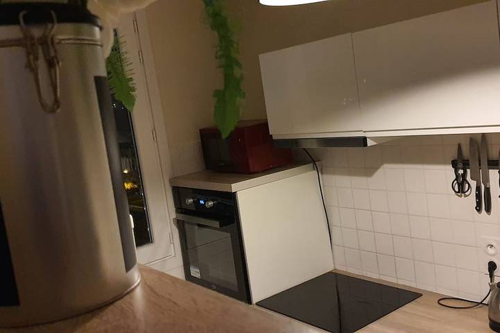 Gîte pour 4 personnes, avec jardin et balcon à Pau - 4
