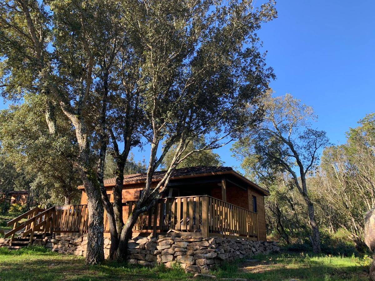 Chalet in the forest (2 adults + 2 children) in Sartène, Arrondissement de Sartène