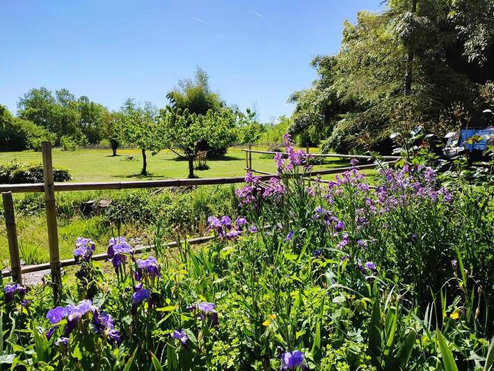 Gîte pour 7 personnes, avec jardin et piscine à Lauzerte - 3