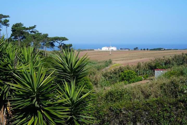 Villa para 14 pessoas, com Varanda e Terraço e ainda Jardim and Vista em Peniche