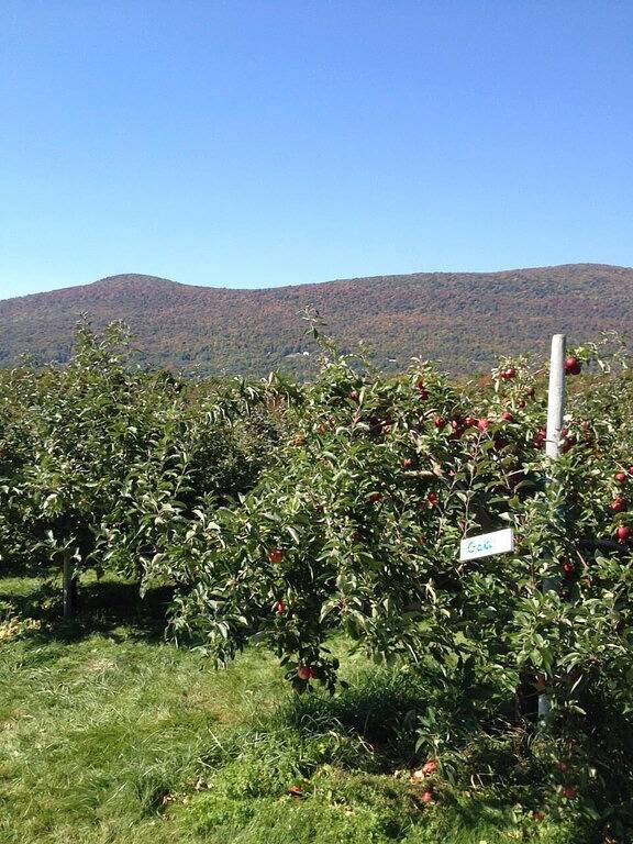Bromley, Stratton, Okemo Ländliche Umgebung im Guest House in Southern Vt Grn Mtns. in Rutland County