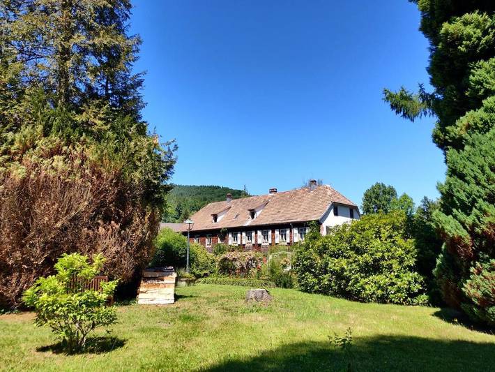 Hôtel, avec Terrasse et Jardin